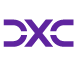 dxcservicenowbusinessgroup.com-logo